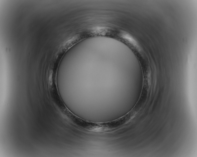 X0000086760504200704271733