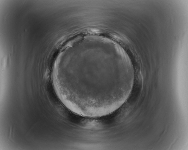 X0000086760507200704271733