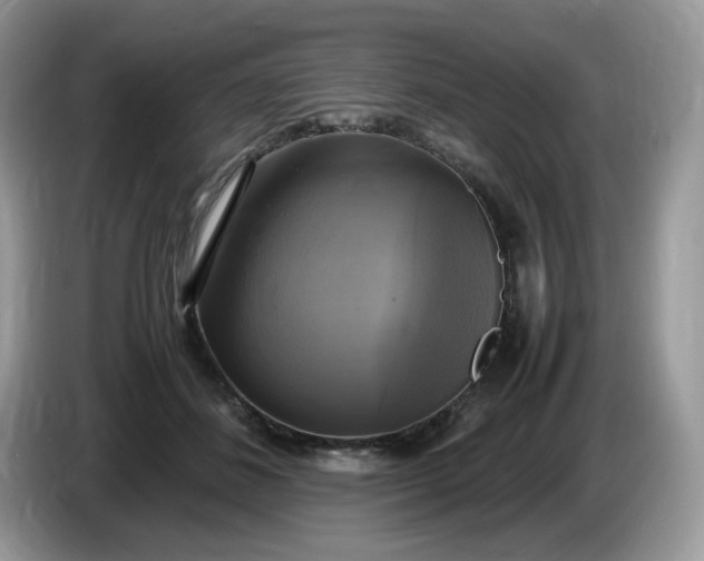 X0000086760508200704271733