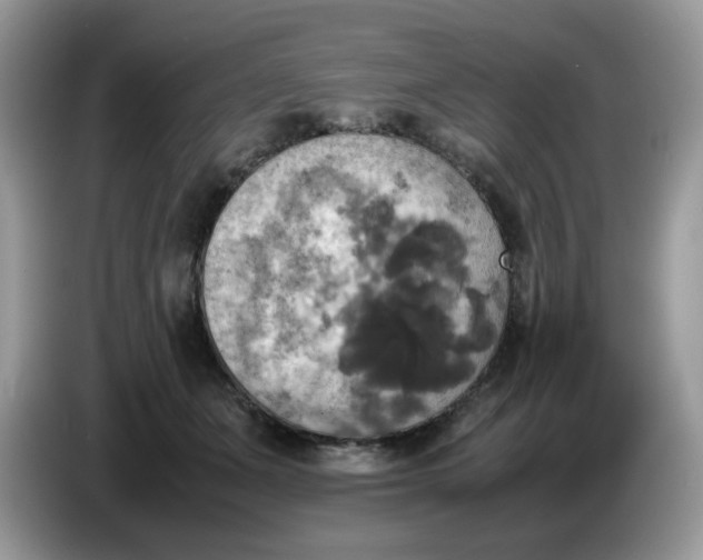 X0000086760511200704271733