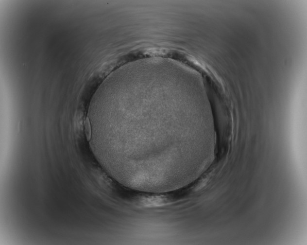 X0000086760513200704271733