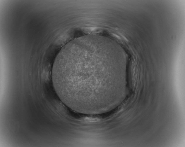 X0000086760515200704271733