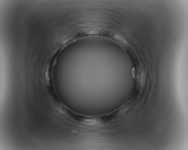 X0000086760516200704271733