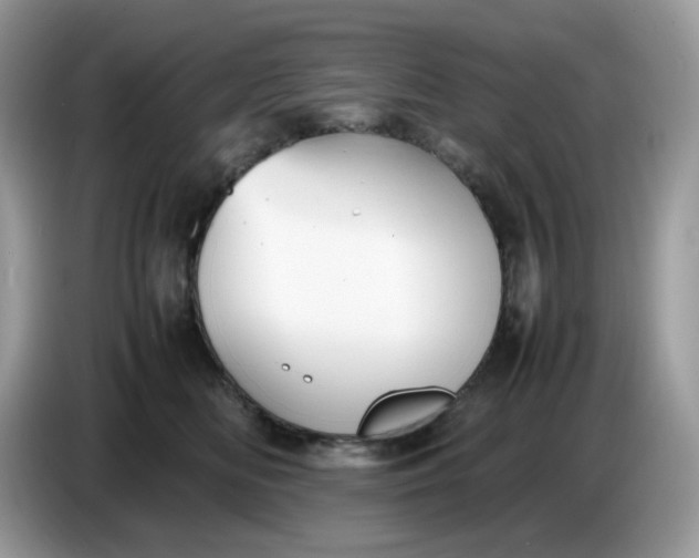 X0000086760518200704271733