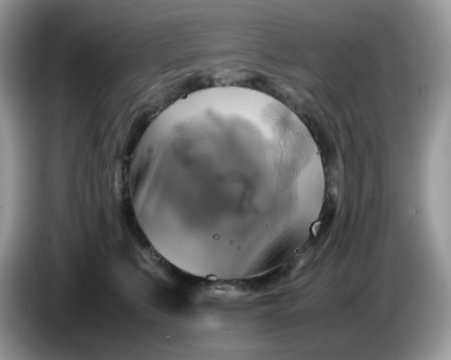 X0000086760519200704271733