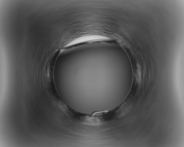 X0000086760520200704271733