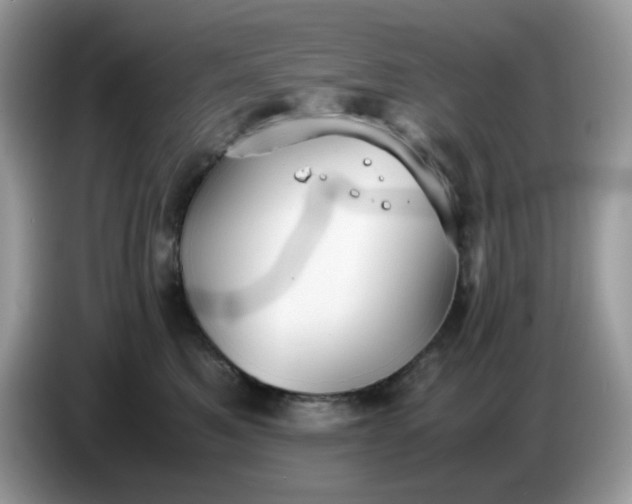 X0000086760521200704271733