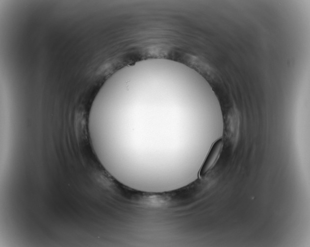 X0000086760522200704271733