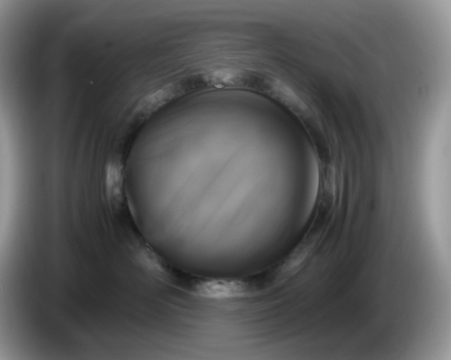 X0000086760526200704271733