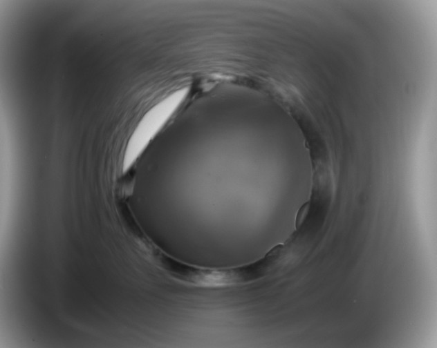 X0000086760527200704271733