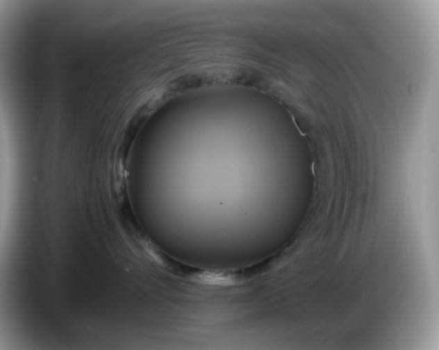 X0000086760528200704271733