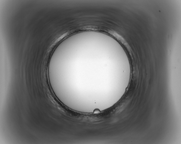 X0000086760529200704271732