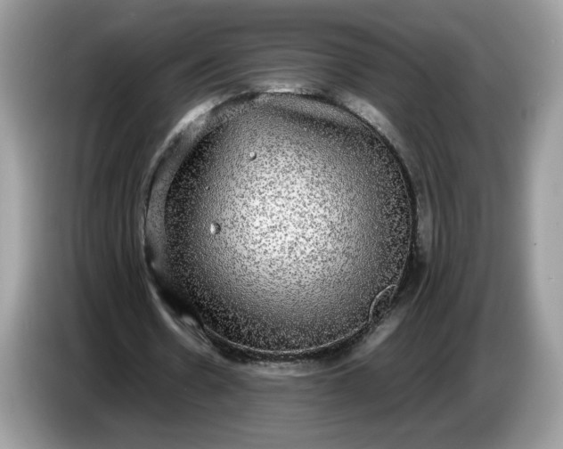 X0000086760530200704271732