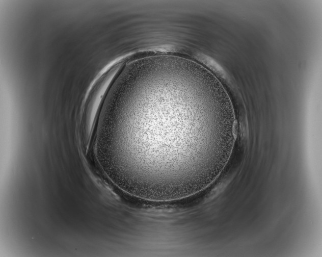 X0000086760532200704271732