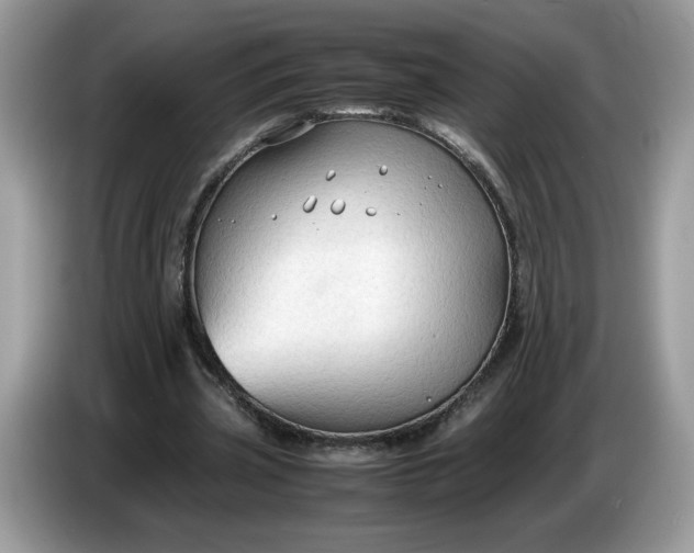 X0000086760533200704271732