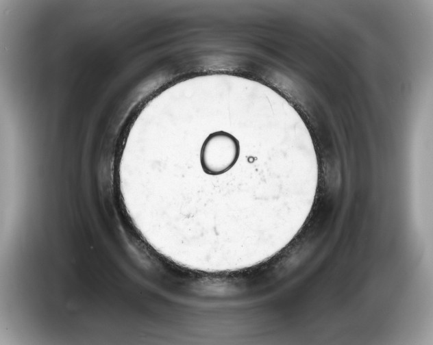 X0000086760534200704271732