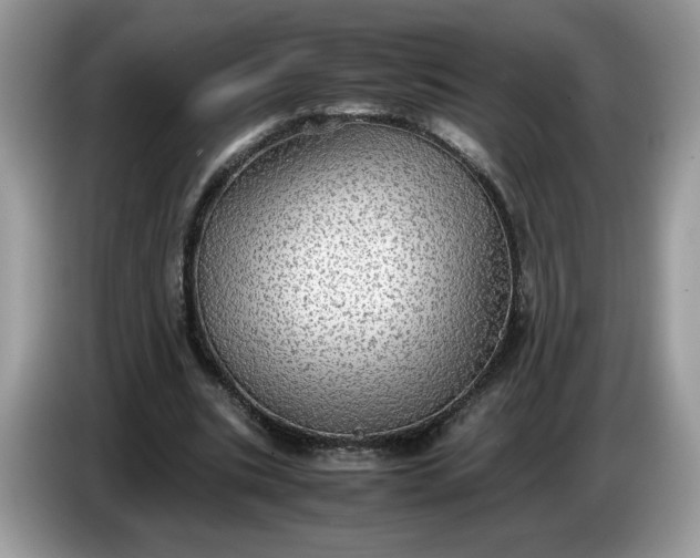 X0000086760535200704271732