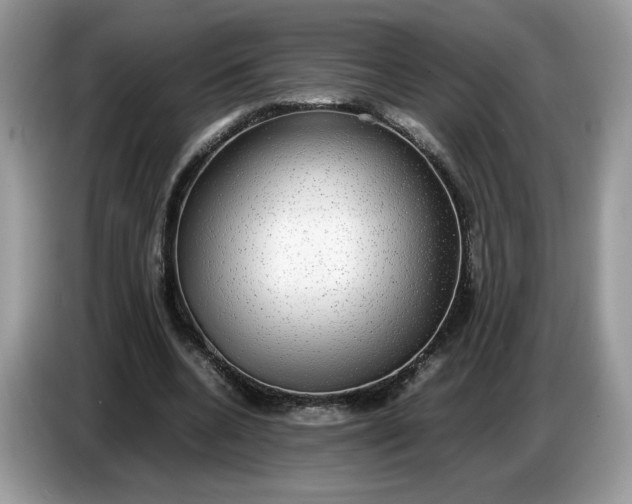 X0000086760536200704271732