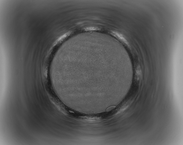 X0000086760539200704271732