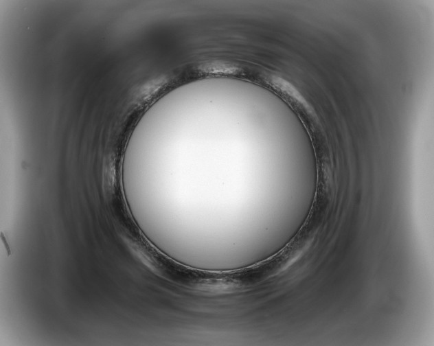 X0000086760541200704271732