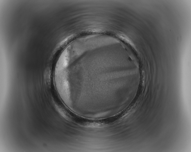 X0000086760542200704271732