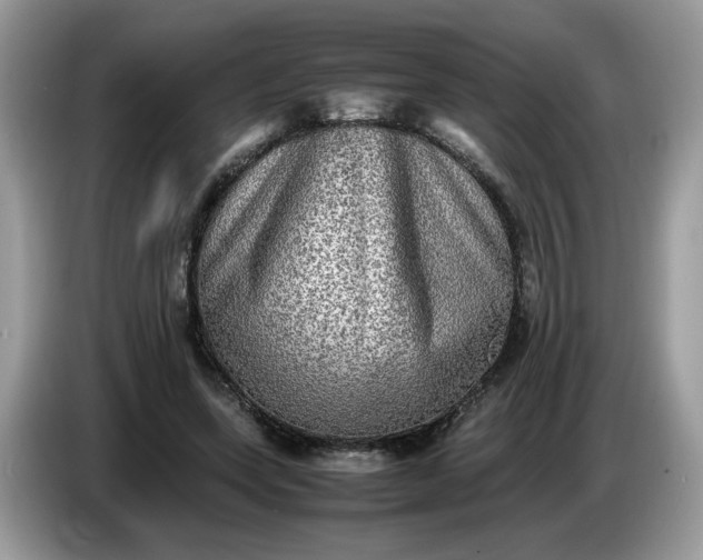 X0000086760543200704271732