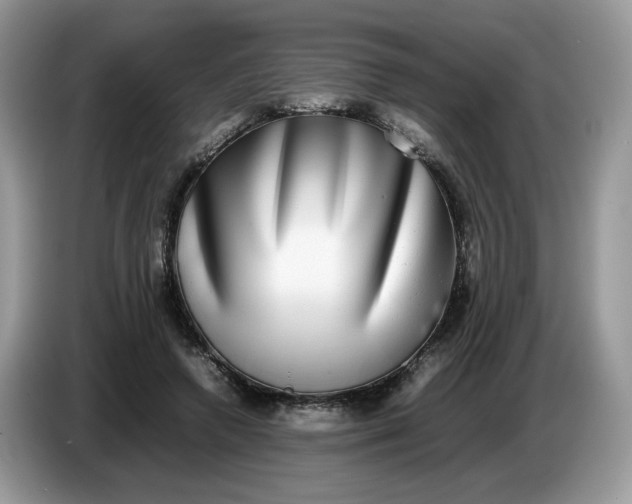 X0000086760546200704271732