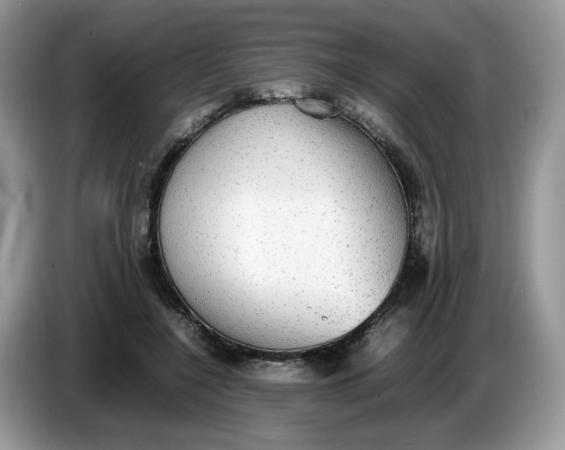 X0000086760548200704271732