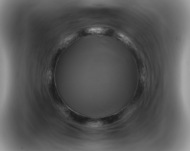 X0000086760551200704271732