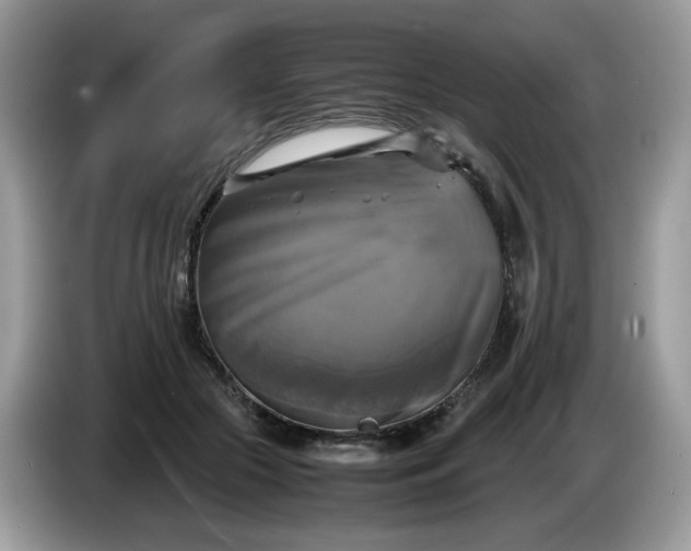 X0000086760553200704271732