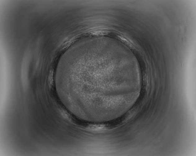 X0000086760554200704271732