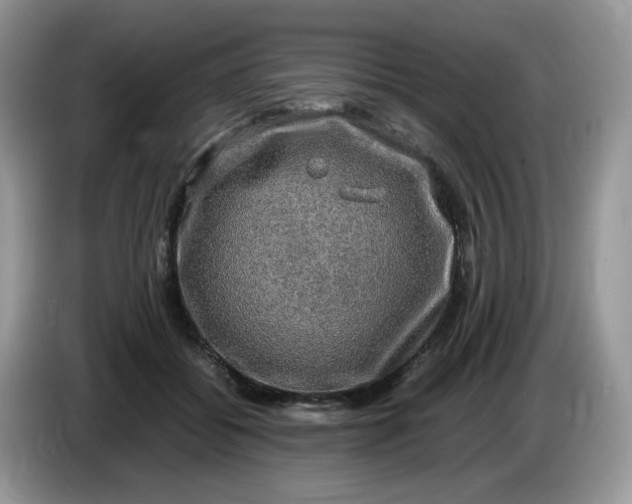 X0000086760556200704271732