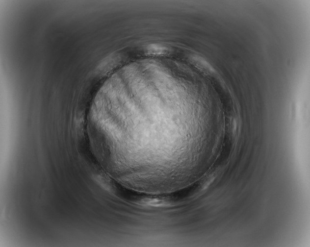 X0000086760557200704271732