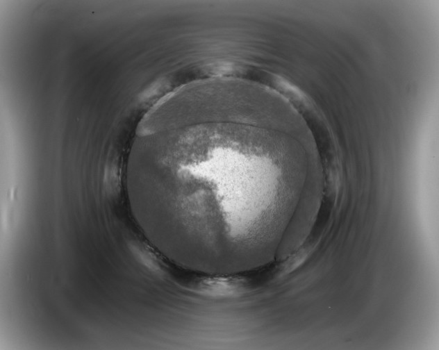 X0000086760558200704271732