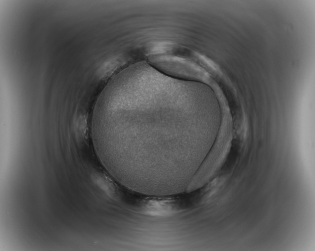 X0000086760560200704271732