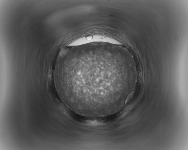 X0000086760561200704271732