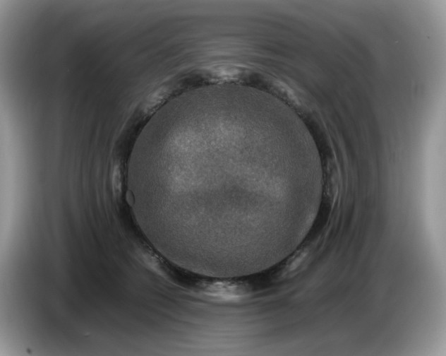 X0000086760562200704271732