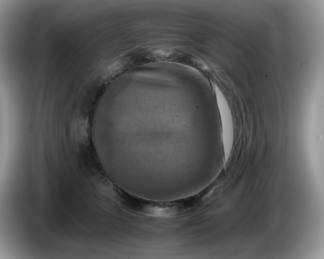 X0000086760563200704271732