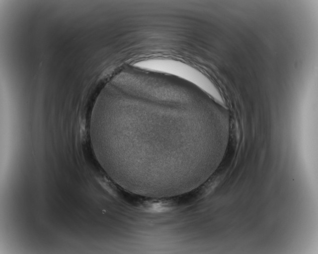 X0000086760564200704271732