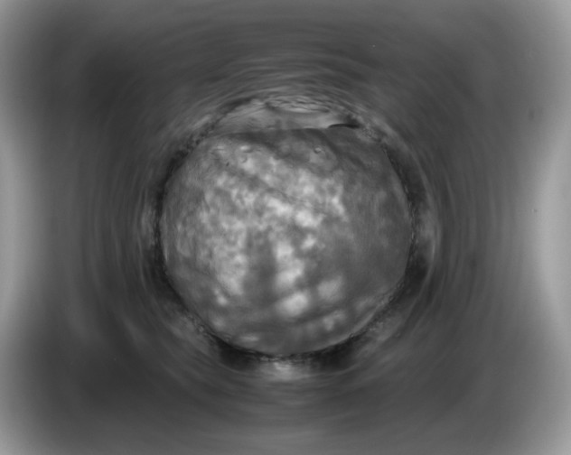 X0000086760565200704271732