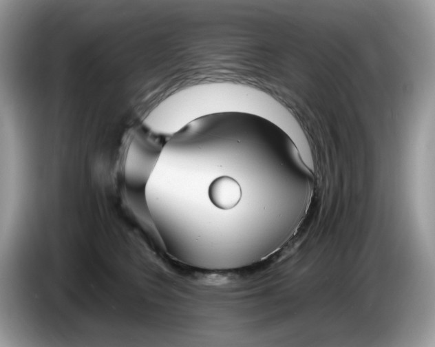 X0000086760566200704271732