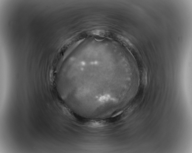 X0000086760569200704271732