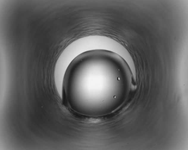 X0000086760570200704271732