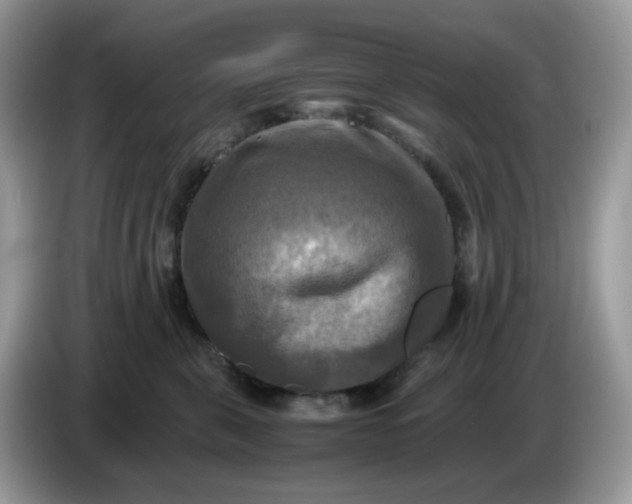 X0000086760571200704271732