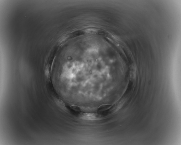 X0000086760573200704271732