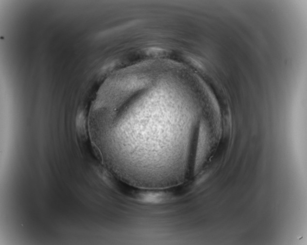 X0000086760575200704271732