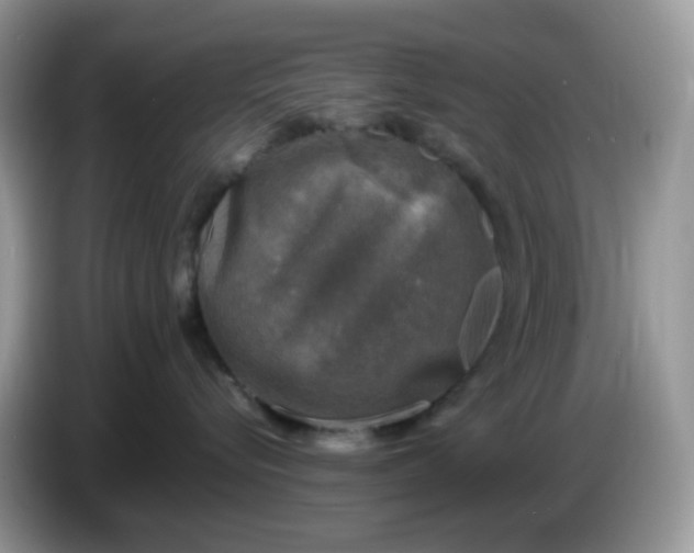 X0000086760576200704271732