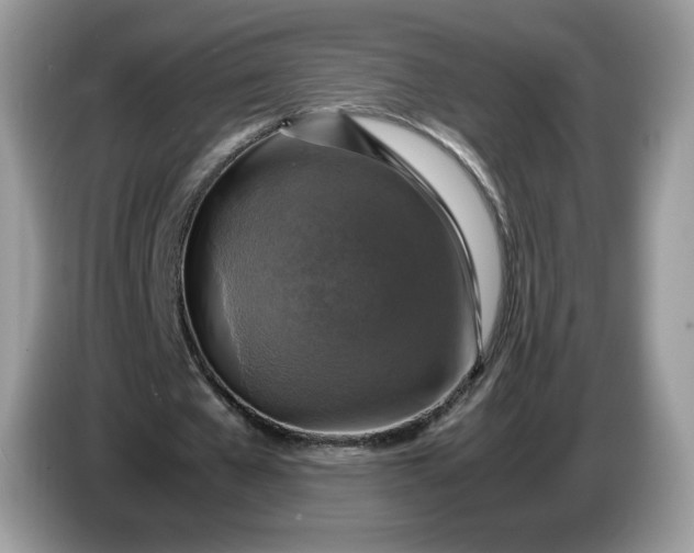 X0000086760577200704271732