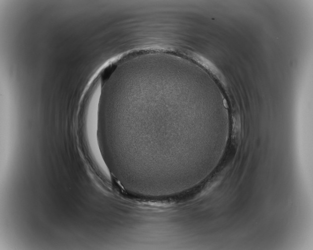 X0000086760580200704271732