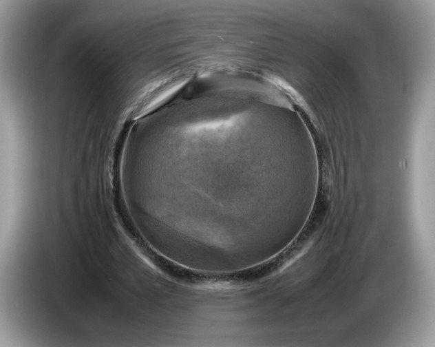 X0000086760581200704271732